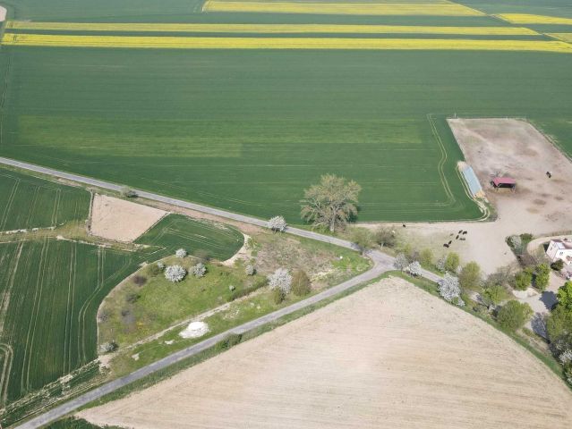 Działka budowlana Ogonowice. Zdjęcie 1