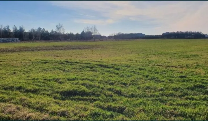 Działka budowlana Krzeszyce, ul. Ogrodowa