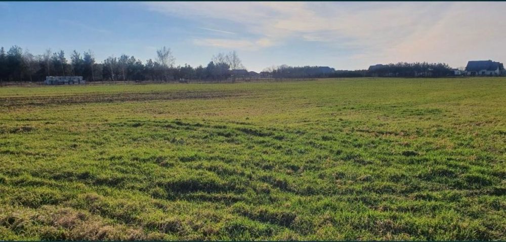 Działka budowlana Krzeszyce, ul. Ogrodowa