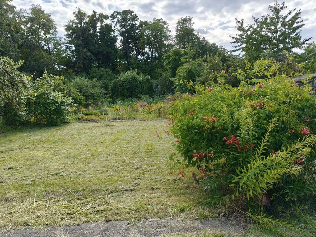 Działka rod Wrocław Sępolno