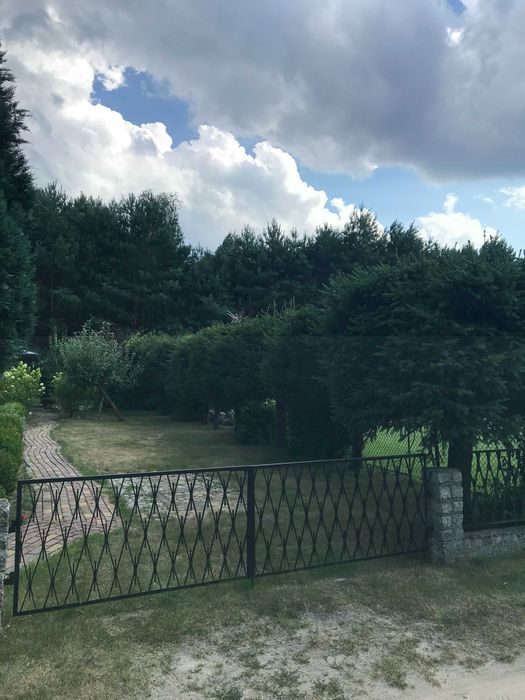 Działka rod Stoczki. Zdjęcie 6