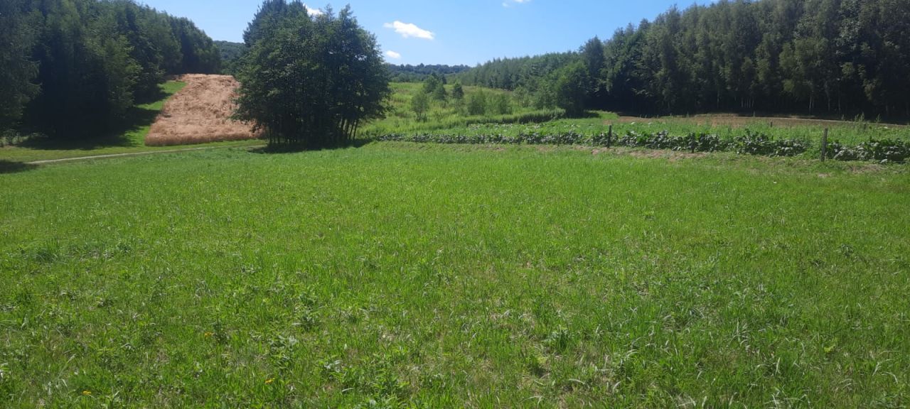 Działka budowlana Grabno Góra. Zdjęcie 2