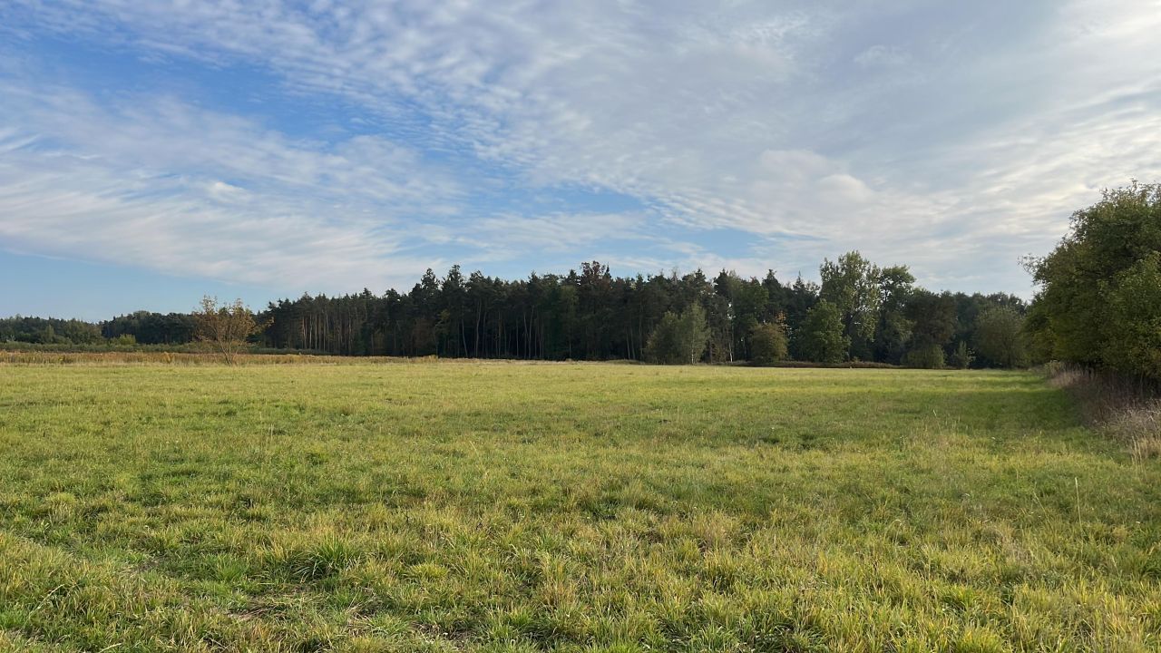 Działka rolno-budowlana Boglewice. Zdjęcie 2