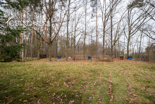 dom wolnostojący, 7 pokoi Białobrzegi, ul. Spacerowa. Zdjęcie 3