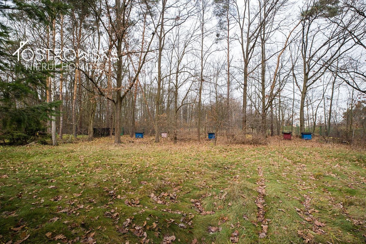 dom wolnostojący, 7 pokoi Białobrzegi, ul. Spacerowa. Zdjęcie 3