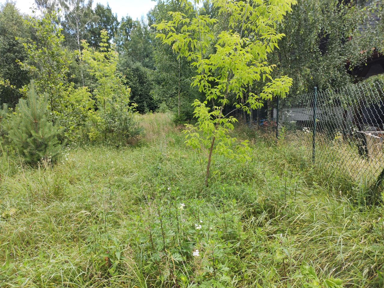 Działka rolno-budowlana Rajgród Okuniówek, ul. Okoniówek
