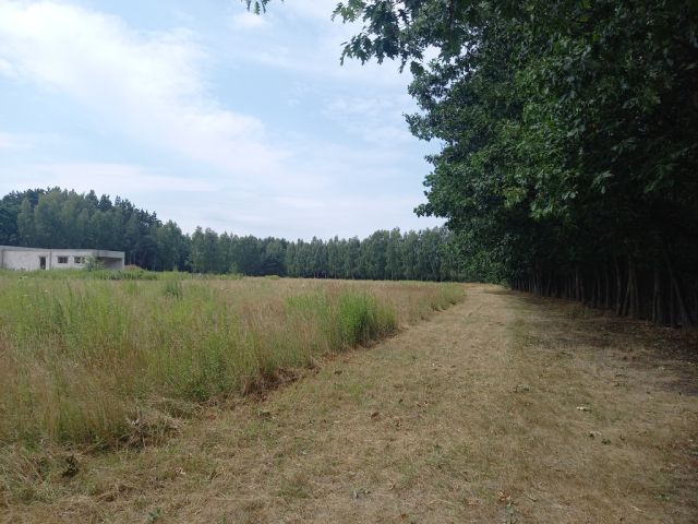 Działka budowlana Korzeniówka. Zdjęcie 8