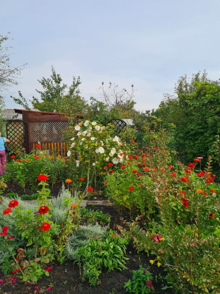 Działka rod Lublin Podzamcze, al. Unii Lubelskiej. Zdjęcie 3