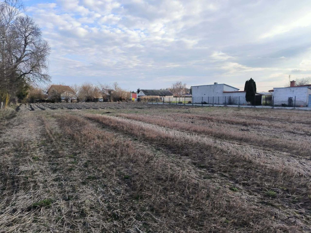 Działka budowlana Grzybowo. Zdjęcie 5