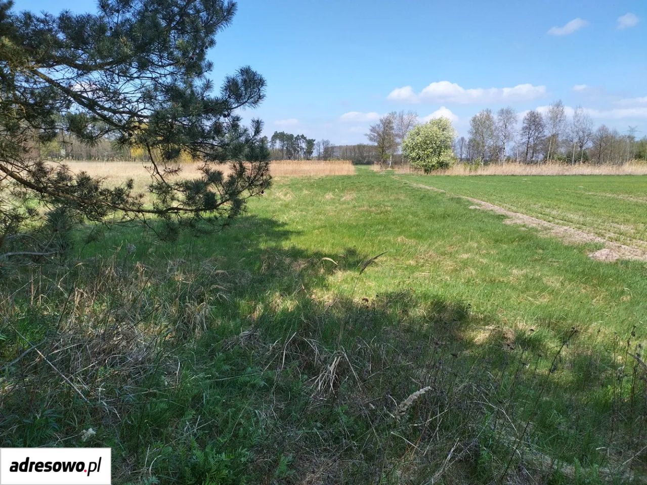 Działka rekreacyjna Karłowice. Zdjęcie 2