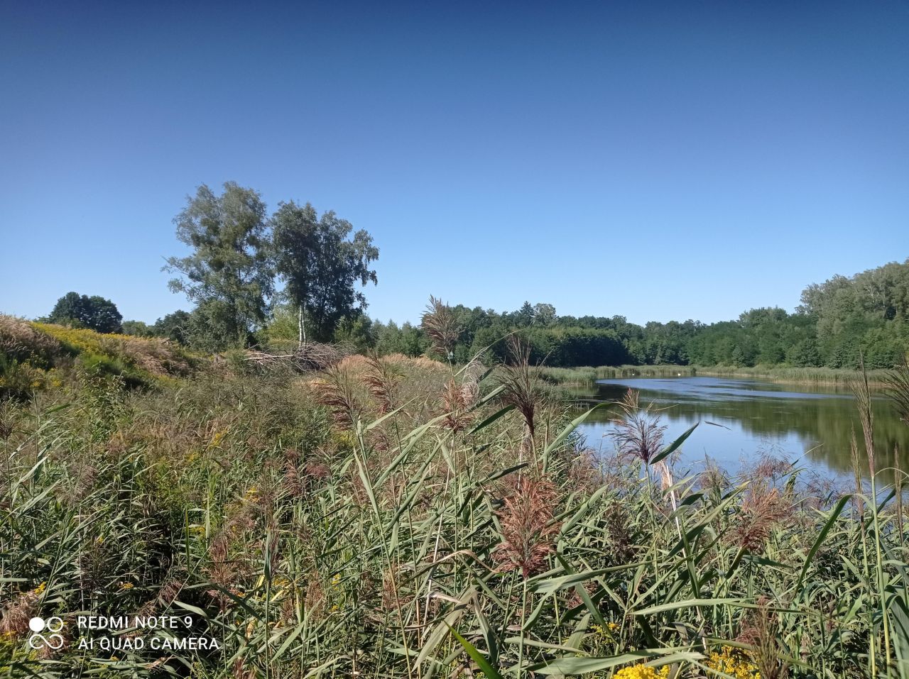 Działka rekreacyjna Ptakowice, ul. Wyzwolenia. Zdjęcie 17