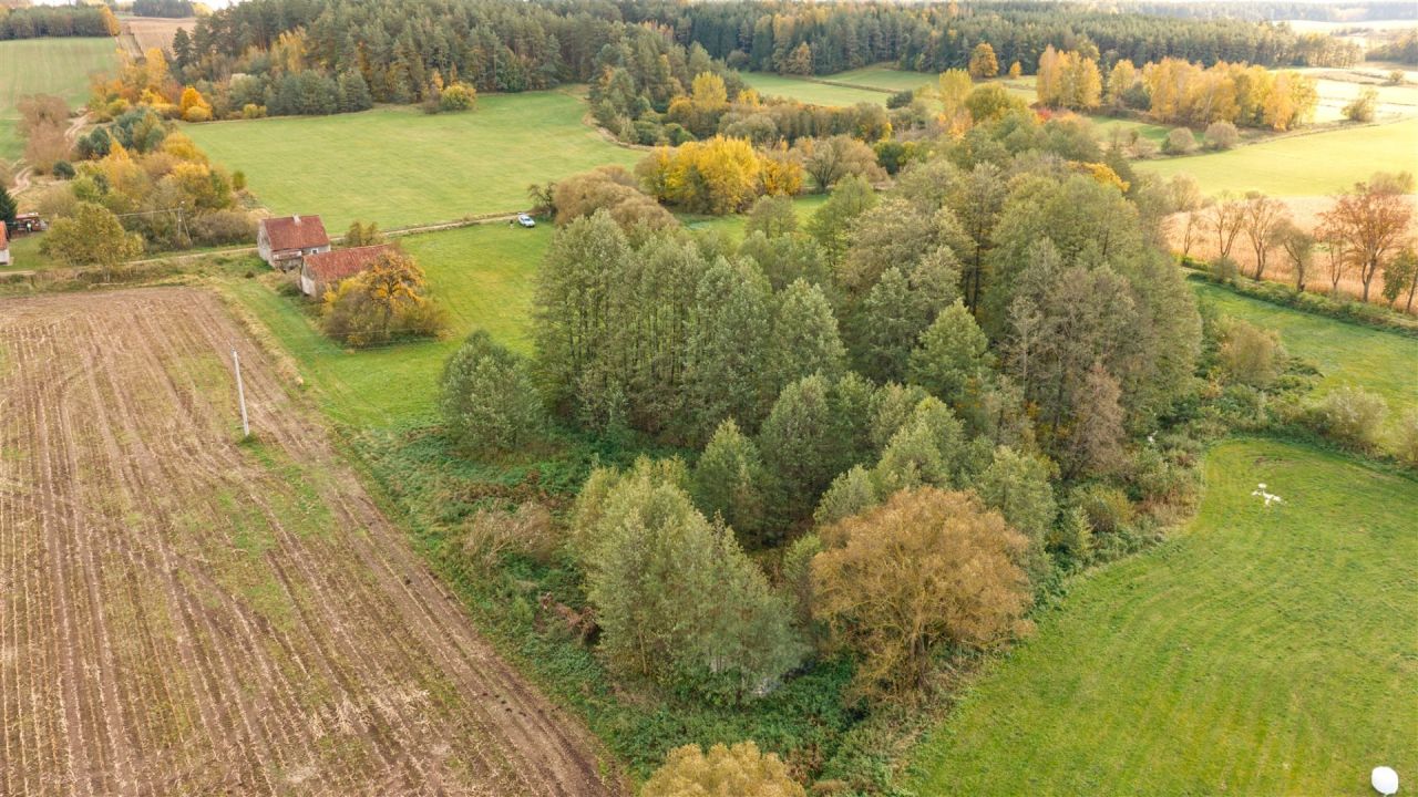 siedlisko, 2 pokoje Biała Piska. Zdjęcie 4