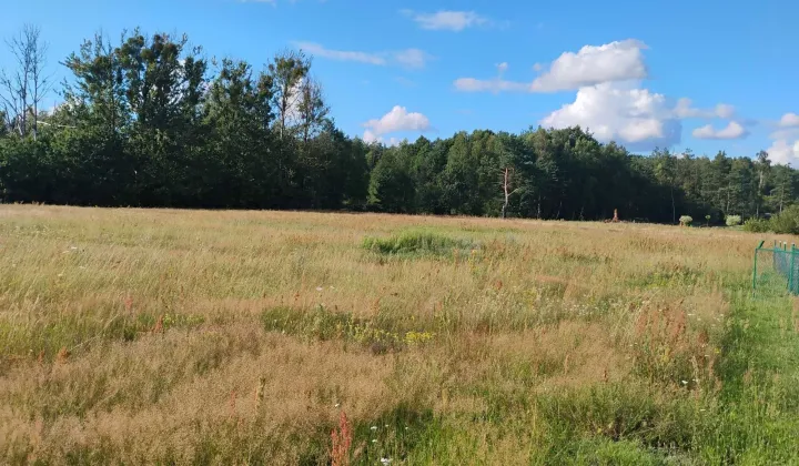 Działka budowlana Niekursko