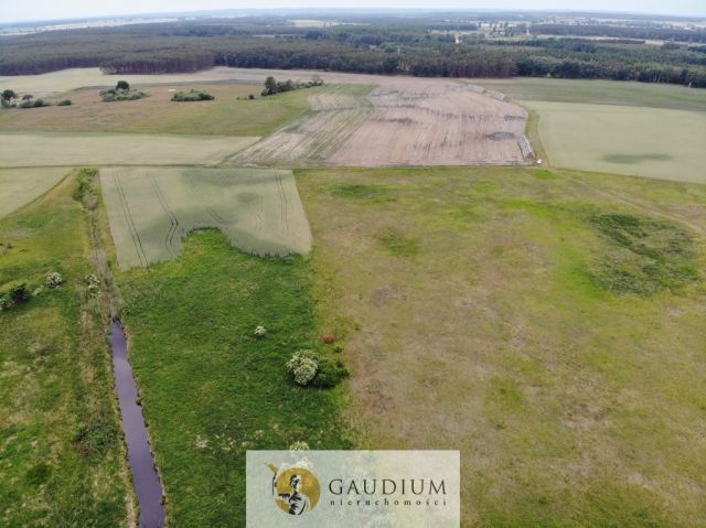 Działka Karszyn. Zdjęcie 14