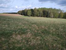 Działka rolna Ciemnik. Zdjęcie 1