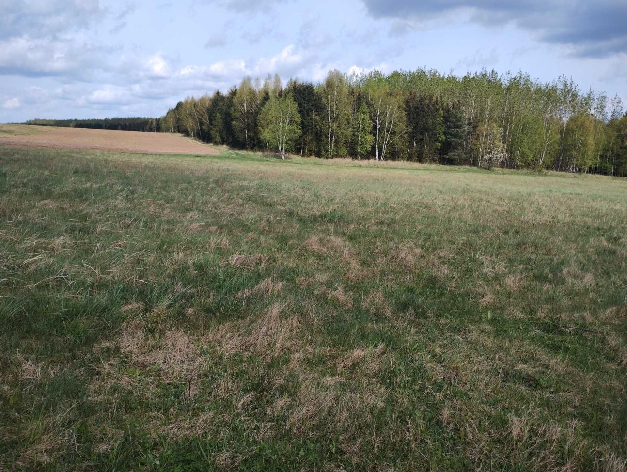 Działka rolna Ciemnik. Zdjęcie 2