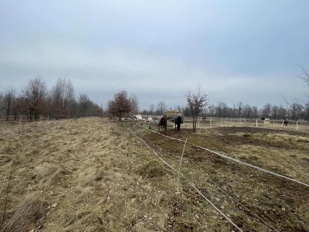 Działka budowlana Wólka Czosnowska, ul. Wojska Polskiego. Zdjęcie 9