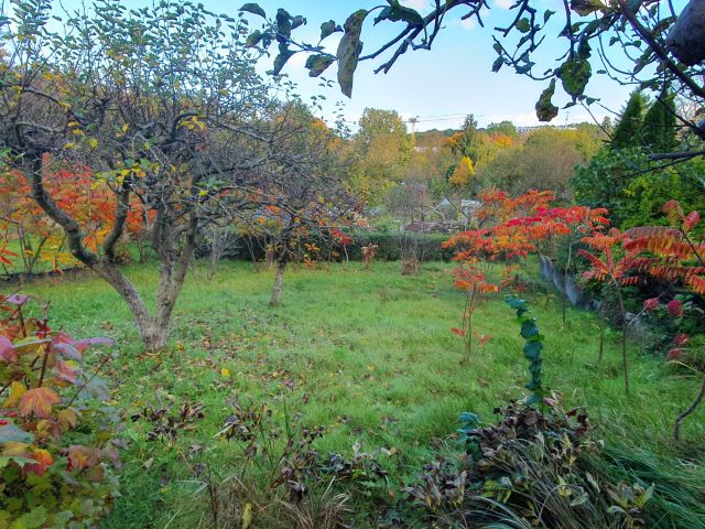 Działka rod Gdańsk Suchanino, ul. Cygańska Góra. Zdjęcie 1