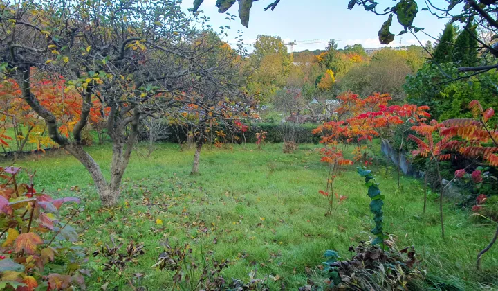 Działka rod Gdańsk Suchanino, ul. Cygańska Góra