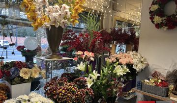 Lokal Warszawa Żoliborz, ul. Powązkowska