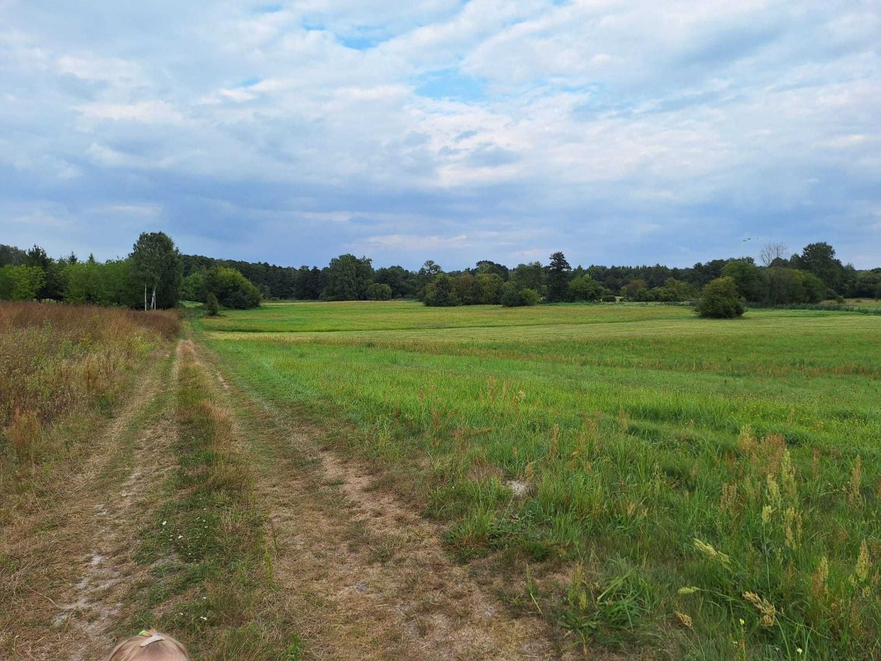 Działka budowlana Samice. Zdjęcie 2