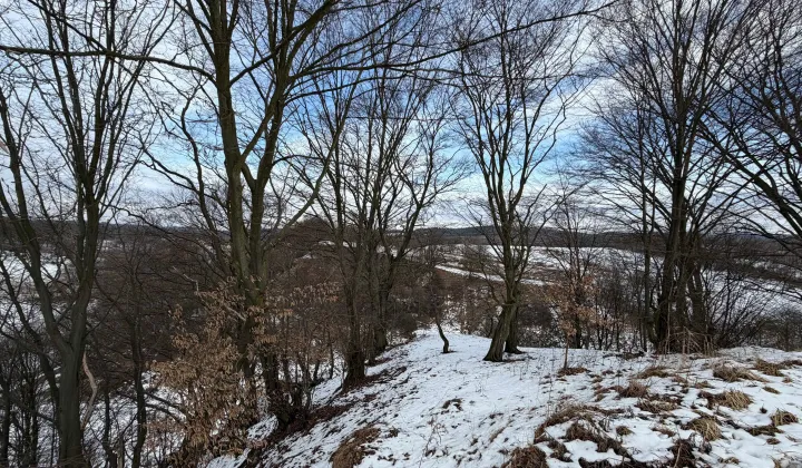 Działka rolna Brodła