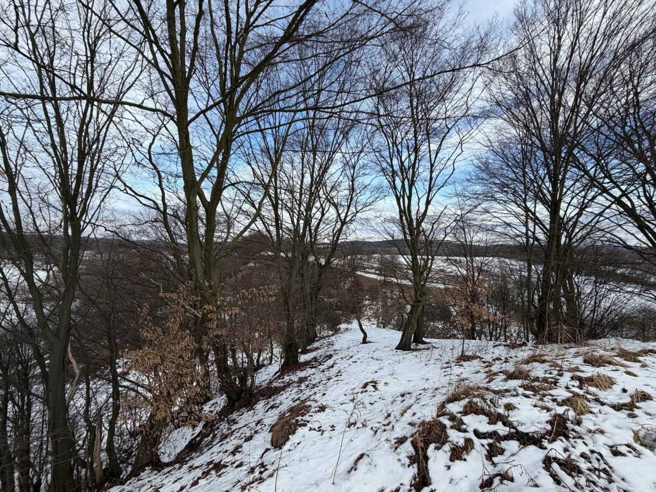 Działka rolna Brodła. Zdjęcie 1