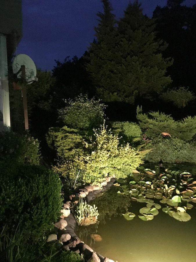 Działka rod Prawda. Zdjęcie 7