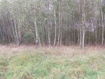 Działka rolna Chełmżyca. Zdjęcie 4