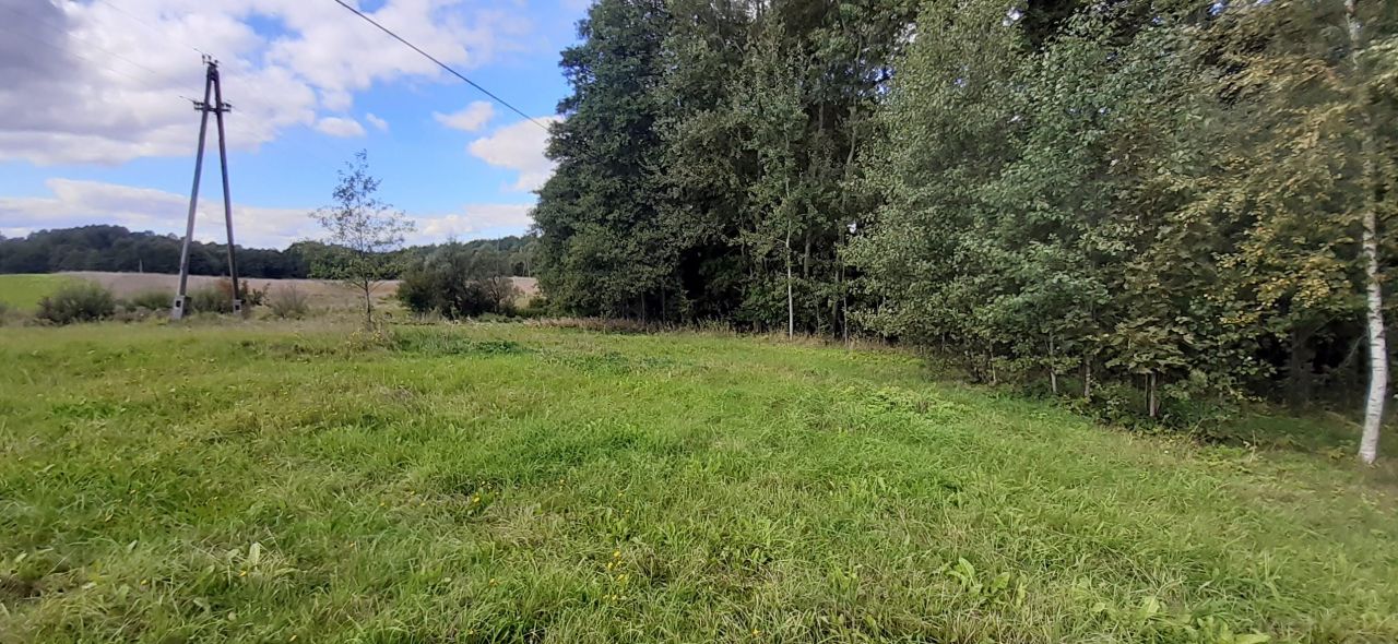 Działka rekreacyjna Boćwinka. Zdjęcie 12