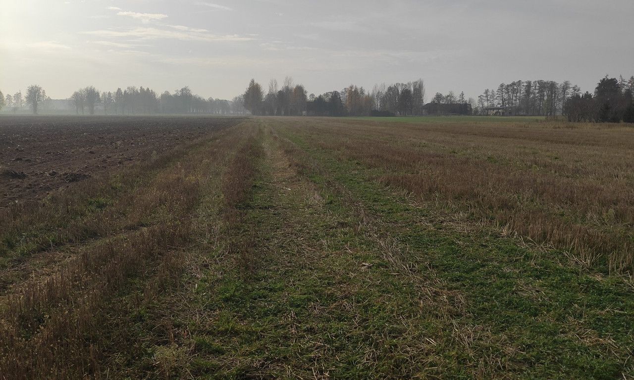 Działka rolna Brzeźnio, ul. Wspólna. Zdjęcie 9