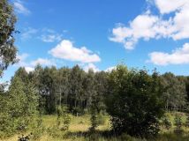 Działka rolna Kusowo. Zdjęcie 1