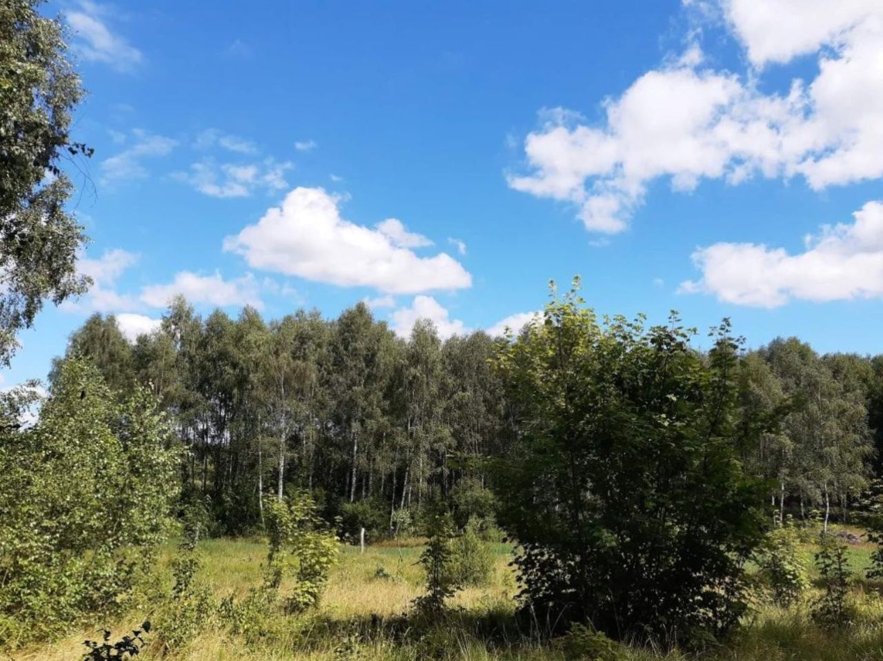 Działka rolna Kusowo. Zdjęcie 2