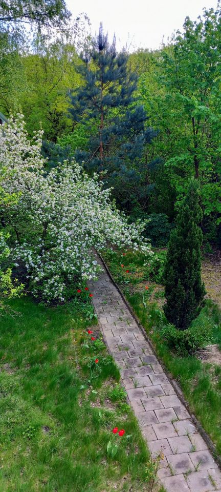 dom wolnostojący, 5 pokoi Otwock Świder, ul. Pogodna. Zdjęcie 39