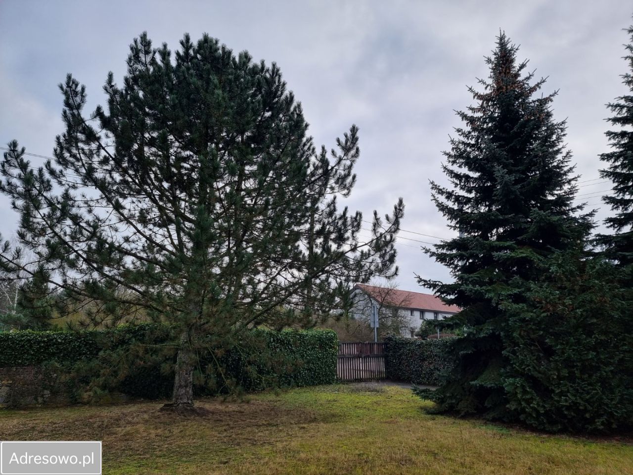 Działka budowlana Puszczykowo, ul. 3 Maja. Zdjęcie 17