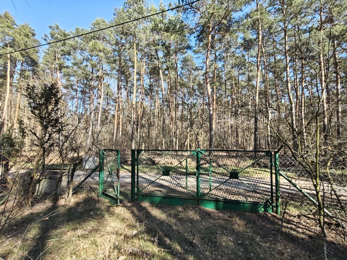 Działka budowlana Nowe Załubice, ul. Szumiących Traw. Zdjęcie 3