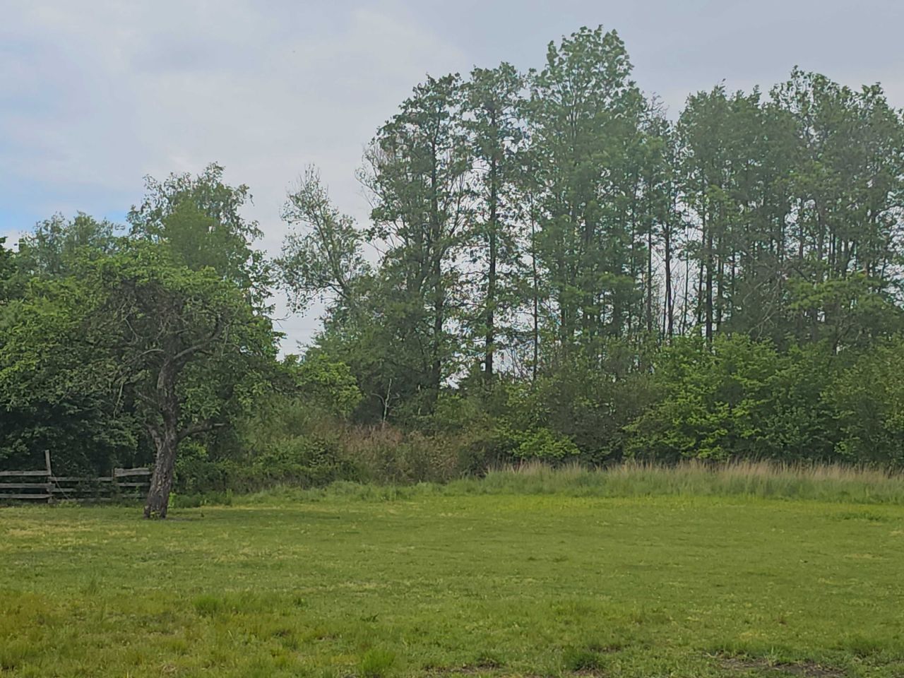 Działka budowlana Marynin. Zdjęcie 2