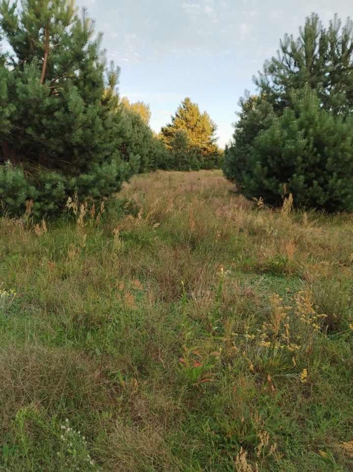 Działka Obłudzin. Zdjęcie 2