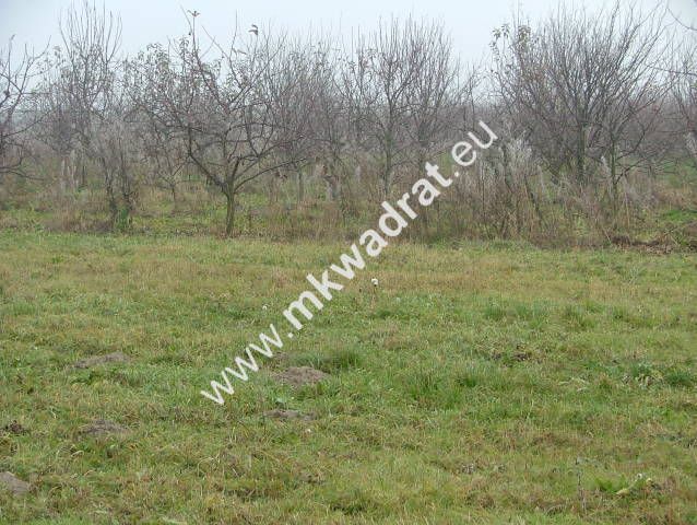 Działka inwestycyjna Żółwin. Zdjęcie 4