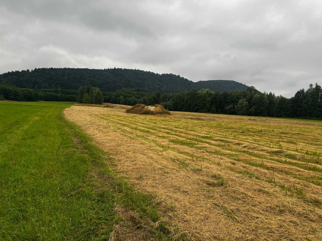 Działka budowlana Chocznia Zarębki. Zdjęcie 5