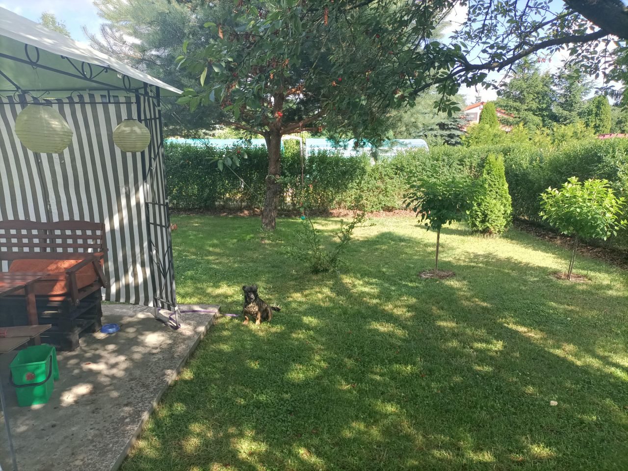 Działka rod Łódź Górna, ul. Lodowa. Zdjęcie 19