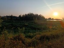 Działka budowlana Ołtarze-Gołacze. Zdjęcie 1