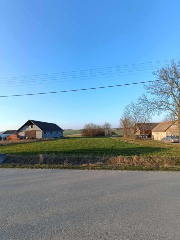 Działka rolna Trzonów. Zdjęcie 1