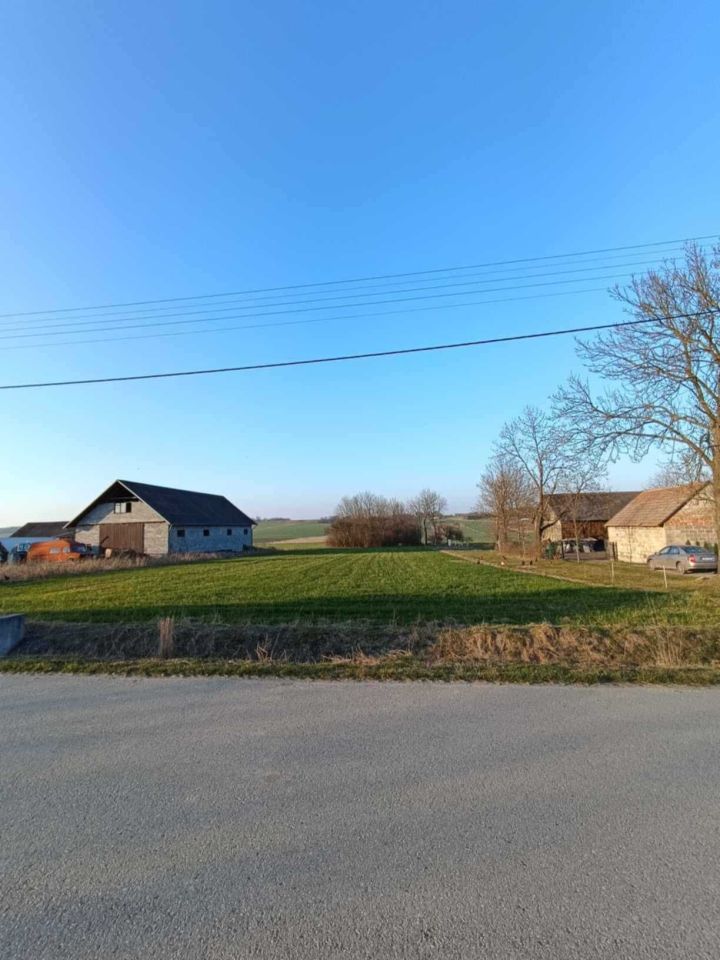 Działka rolna Trzonów