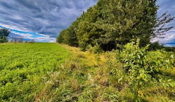 Działka siedliskowa Drygały, ul. Polna
