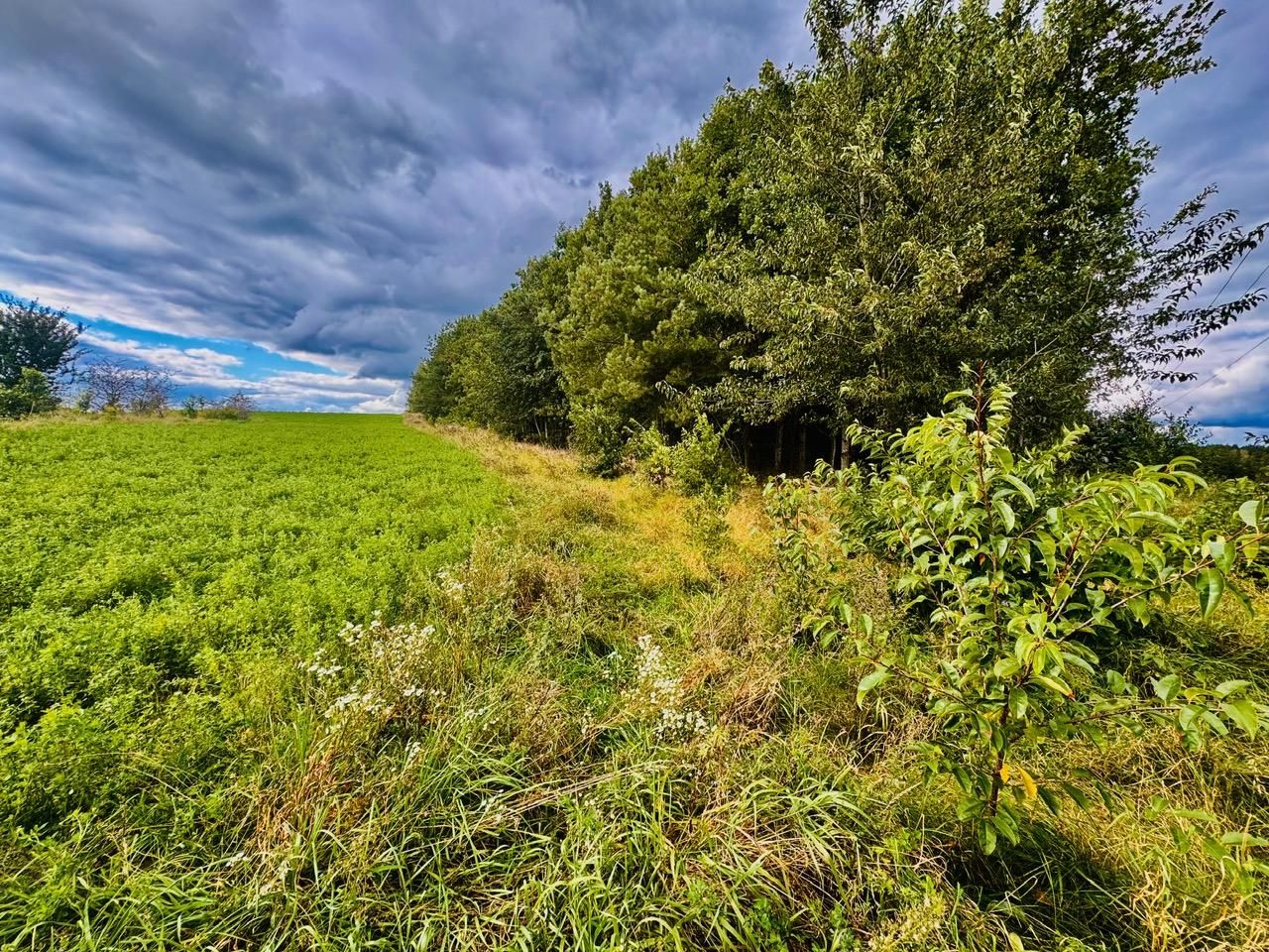Działka siedliskowa Drygały, ul. Polna. Zdjęcie 2