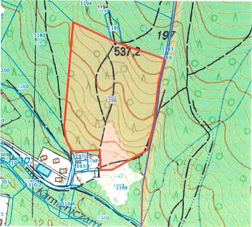 Działka leśna Poręba. Zdjęcie 6