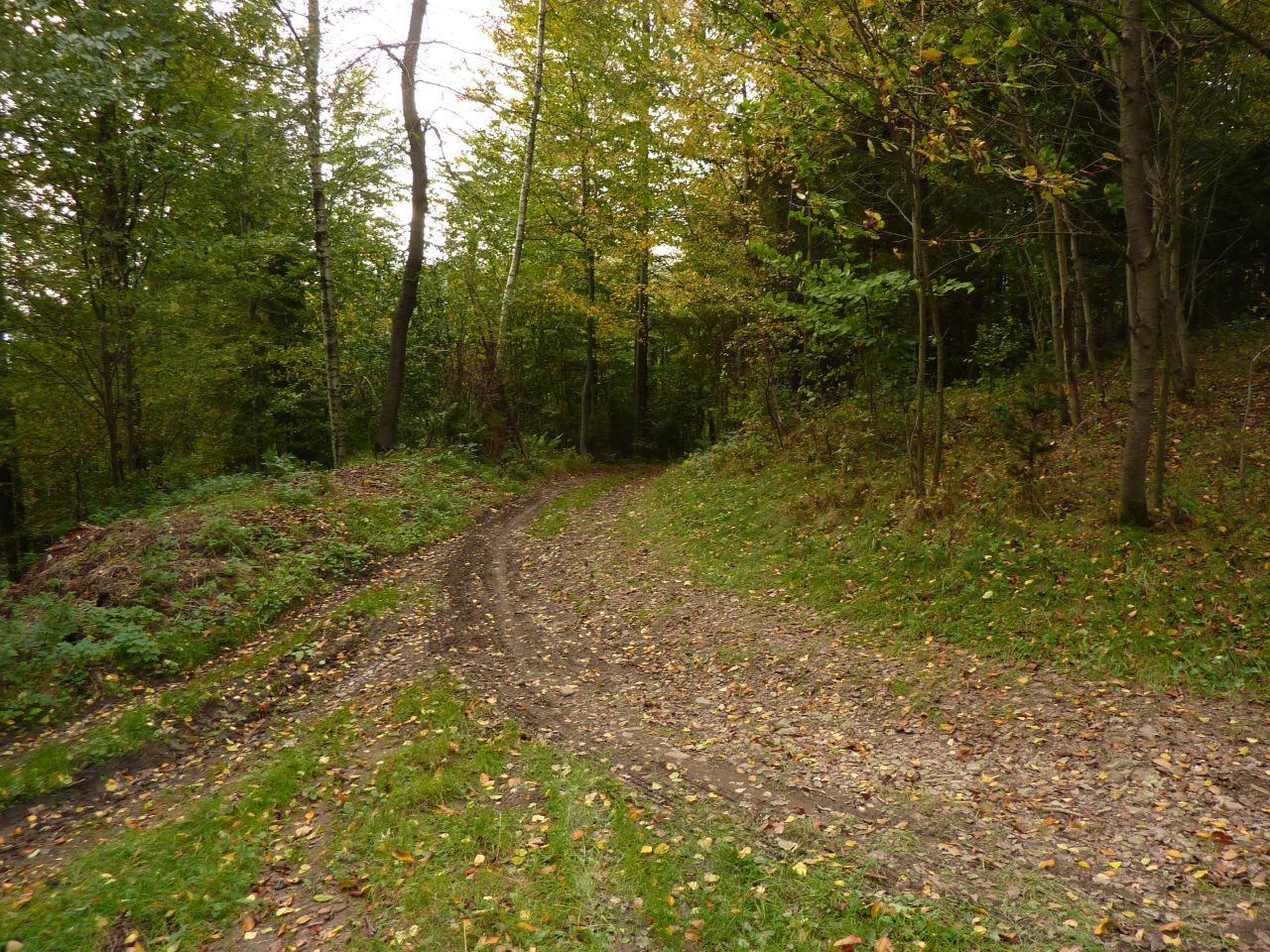 Działka rolna Pewel Wielka Garleje. Zdjęcie 19