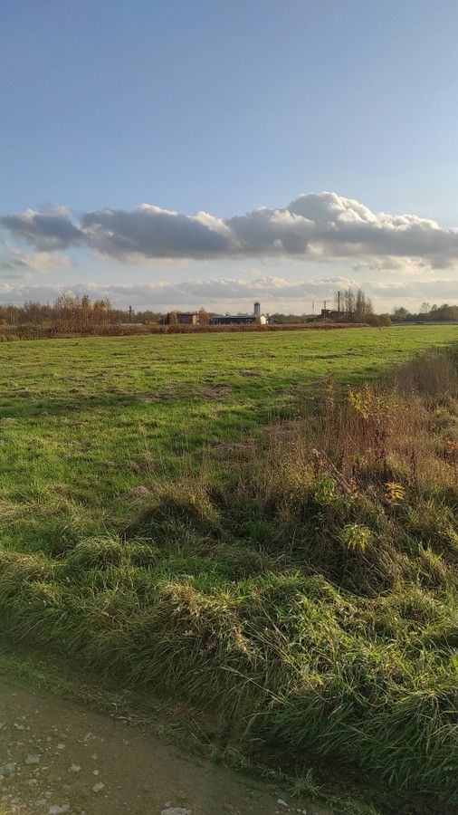 Działka inwestycyjna Radzymin Centrum, ul. Wołomińska. Zdjęcie 14