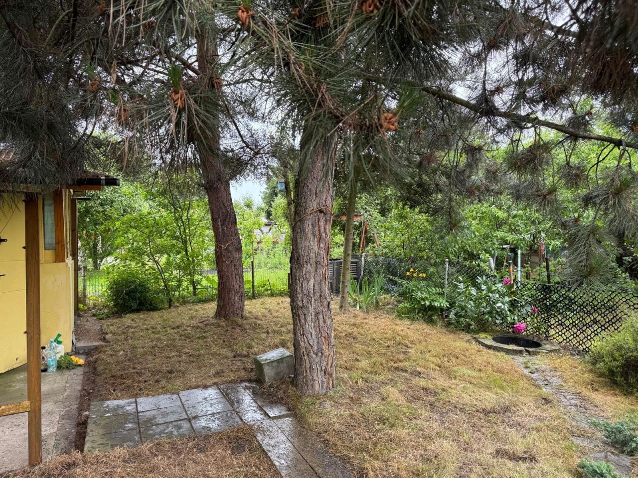 Działka rod Wrocław Krzyki. Zdjęcie 2